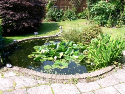 Pond Safety, Ireland  Pond Grids, Covers, Guards to protect your