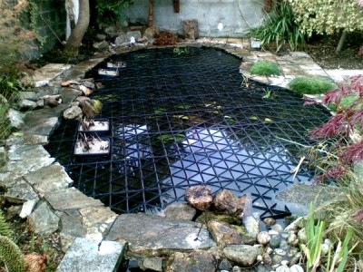 Pool with crazy paving fitted with SAFADECK pond grid below deck