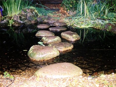 SAFADECK pond grid fitted below deck to a pond with stepping stones